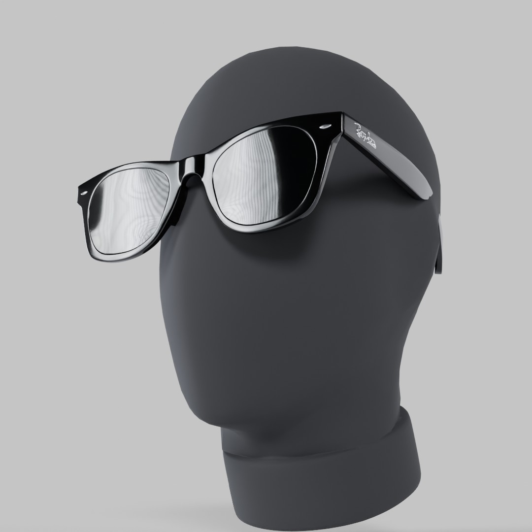 RayBam Wayfarer sunglasses: enVision