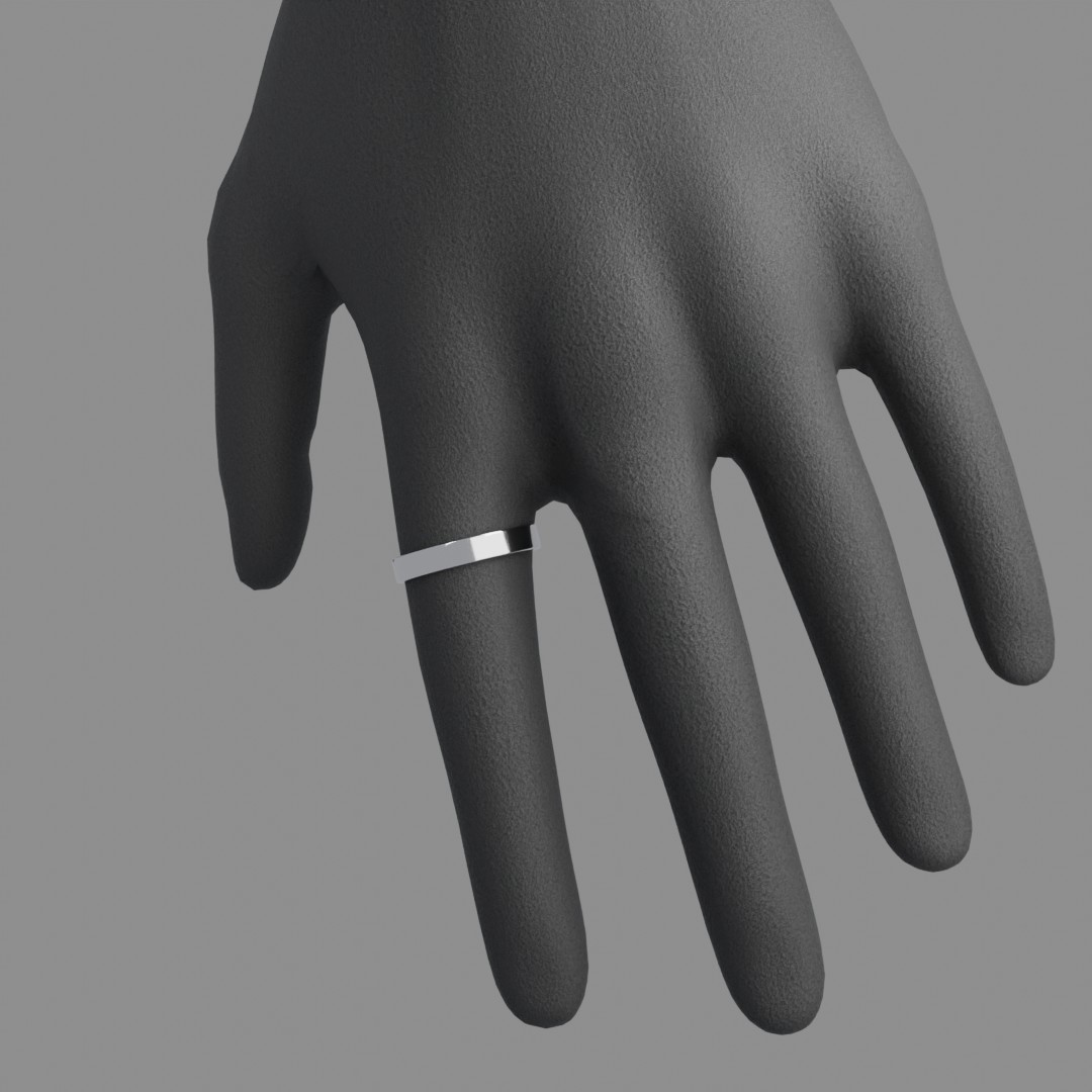 The Access SleekBand