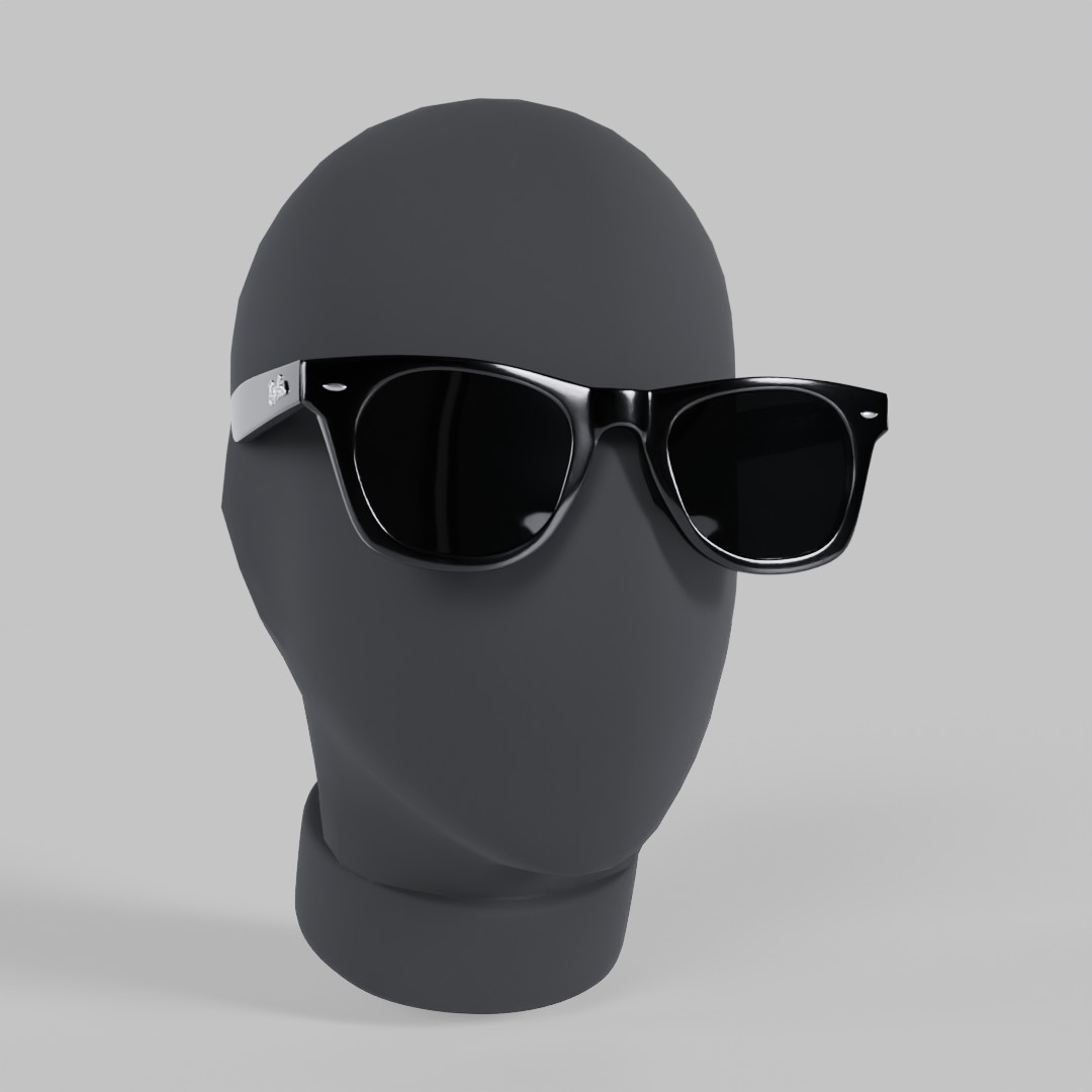 RayBam Wayfarer sunglasses: enVision