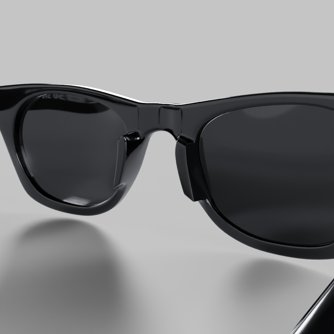 RayBam Wayfarer sunglasses: enVision